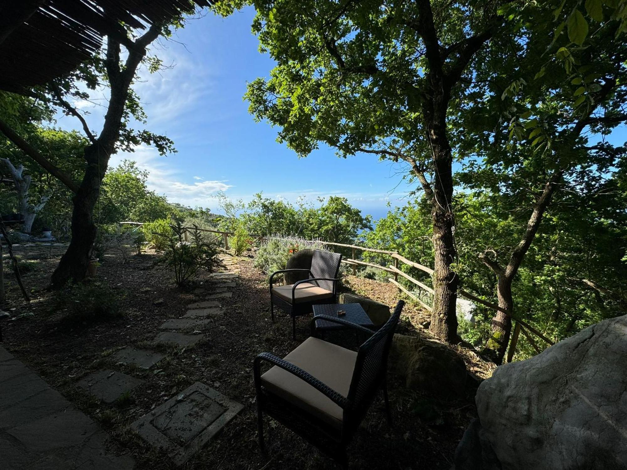 Groove'N'Grove Bed & Breakfast Sant'Agata sui due Golfi Exterior photo