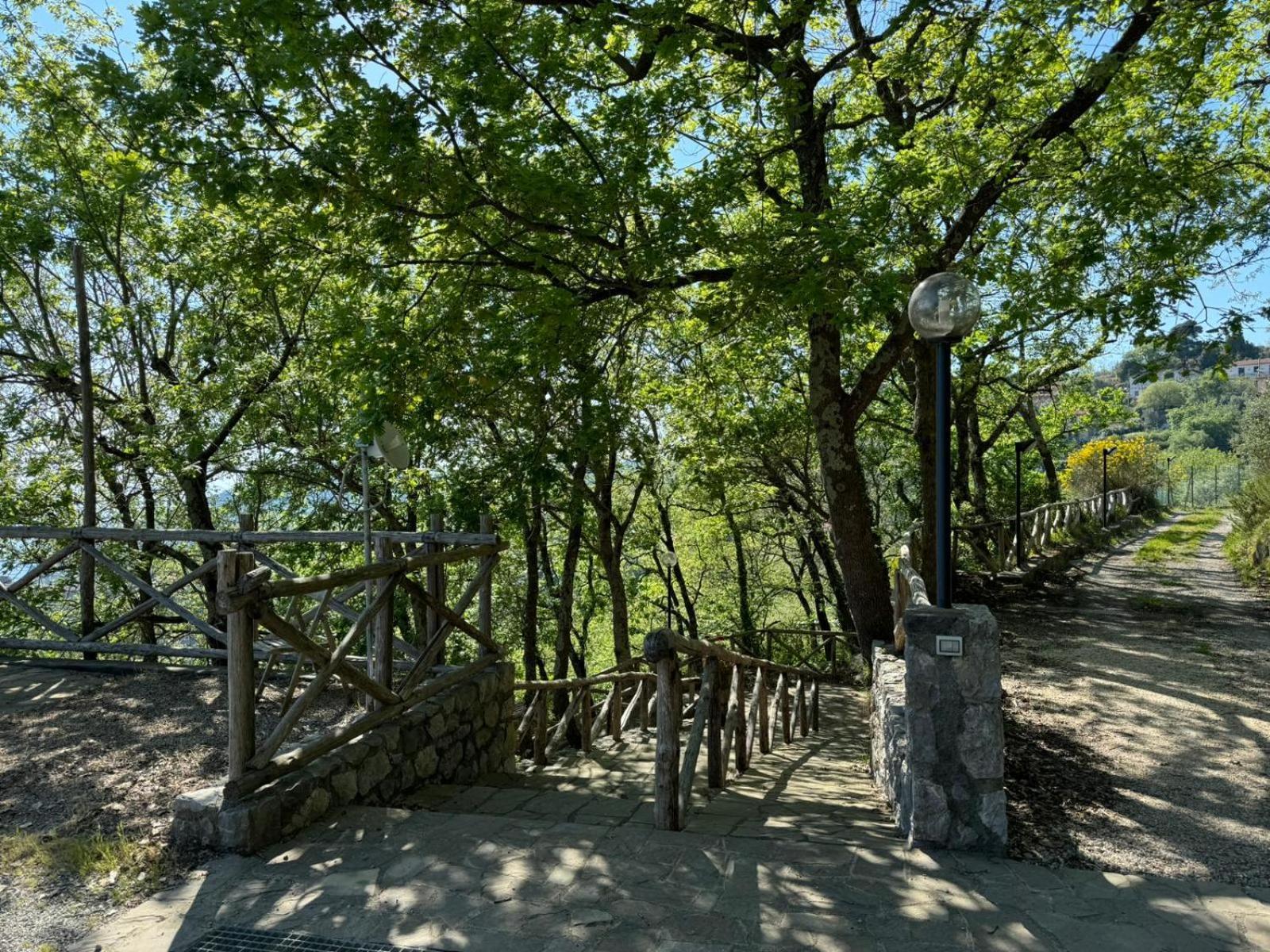 Groove'N'Grove Bed & Breakfast Sant'Agata sui due Golfi Exterior photo