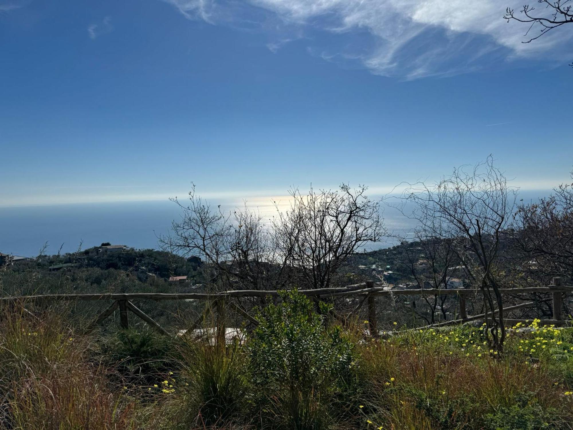 Groove'N'Grove Bed & Breakfast Sant'Agata sui due Golfi Exterior photo